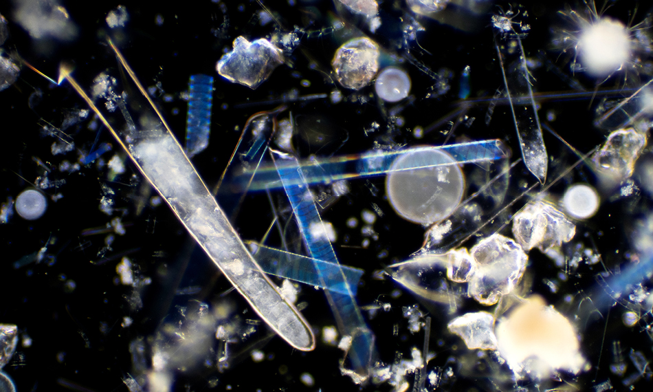 BETRIEB PER FERNZUGRIFF